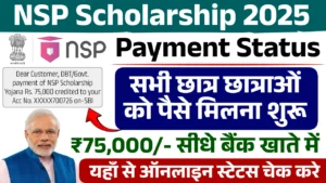 NSP Scholarship Payment Status